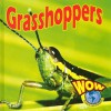 Grasshoppers - Heather C. Hudak