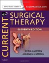 Current Surgical Therapy: Expert Consult - Online and Print - John L Cameron, Andrew M Cameron