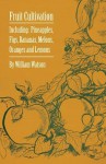 Fruit Cultivation - Including: Figs, Pineapples, Bananas, Melons, Oranges and Lemons - William Watson