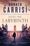 Into the Labyrinth - Donato Carrisi