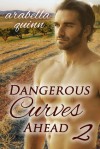 Dangerous Curves Ahead 2 - Arabella Quinn