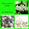 How to Grow Garlic - Linda Gray