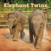 Elephant Twins - Richard Sobol