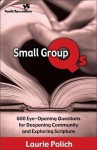 Small Group QS: 600 Eye-Opening Questions for Deepening Community and Exploring Scripture - Laurie Polich