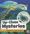 Up-Close Mysteries: Zoomed-In Photo Puzzles - Kristen McCurry