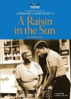 A Reader's Guide to Lorraine Hansberry's a Raisin in the Sun - Pamela Loos