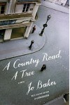 A Country Road, A Tree: A novel - Jo Baker