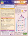 Molecular Biology (Quick Study: Academic) - Inc. BarCharts