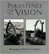 Persistence of Vision - David Lubbers