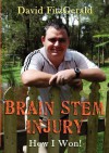 Brain Stem Injury - David Fitzgerald