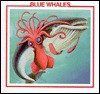 Blue Whales - Sarah Palmer