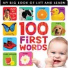 My Lift the Flap 100 First Words - Caterpillar Books