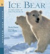 Ice Bear: Read and Wonder: In the Steps of the Polar Bear - Nicola Davies, Gary Blythe