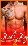 BOOK 2 - Bad Boy | Gay Romance MM Boyfriend Series: Bad Boy: Naughty at Night Gay Romance Novels (Bad Boy: Naughty at Night Gay Romance Books) - Jamie Lake