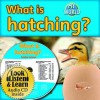 What Is Hatching? - CD + Hc Book - Package - Bobbie Kalman