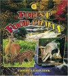 Forest Food Chains - Bobbie Kalman