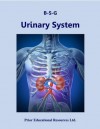 Urinary System - Roger Prior