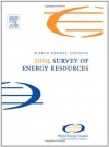 2004 Survey of Energy Resources, Twentieth Edition (World Energy Council) - Judy Trinnaman, Alan Clarke