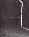 Cicatrizes - David Small