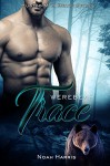 Werebear: Trace (HUNTED M/M BEARS Book 1) - Noah Harris