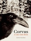 Corvus: A Life with Birds - Esther Woolfson