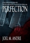 Perfection - Joel M. Andre
