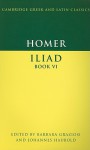 Homer Iliad, Book VI - Barbara Graziosi, Johannes Haubold