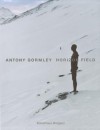 Antony Gormley: Horizon Field - Kunsthaus Bregenz, Beat Wyss, Martin Seel