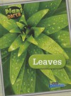 Leaves - Melanie Waldron