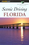 Scenic Driving Florida - Jan Godown Annino