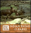 Indian Rhinos and Their Babies - Marianne Johnston