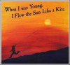 When I Was Young I Flew the Sun Like a Kite - Kayla Fioravanti