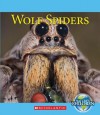 Wolf Spiders - Josh Gregory