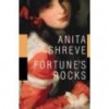 Fortune's Rocks - Anita Shreve