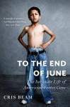 To the End of June: The Intimate Life of American Foster Care - Cris Beam