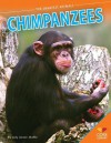 Chimpanzees - Jody Jensen Shaffer