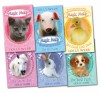 Holly Webb Magic Molly 6 Books Collection Children Animal Pack - Holly Webb