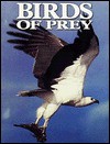 Birds of Prey - Ian Newton