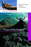 Prayer of the Dragon - Eliot Pattison