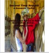 Second Time Around; A Romantic Thriller - Dennis Lively