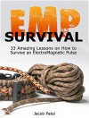 EMP Survival: 33 Amazing Lessons on How to Survive an ElectroMagnetic Pulse (EMP Survival, EMP Survival books, EMP Survival novels) - Jacob Patel