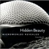 Hidden Beauty: Microworlds Revealed - France Bourely, Laurel Hirsch