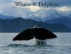 Whales & Dolphins, New Zealand - Barbara Todd