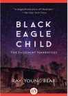 Black Eagle Child: The Facepaint Narratives - Ray A. Young Bear