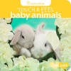 Touch & Feel: Baby Animals - Rachael Hale