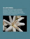 Siluriformes: Callichthyidae, Silurus Glanis, Corydoras, Ancistrus, Corydoras Aeneus, Corydoras Sarareensis, Vandellia, Loricariidae - Source Wikipedia