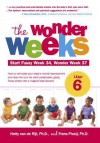 The Wonder Weeks, Leap 6: How to Stimulate Your Baby's Mental Development and Help Him Turn His 10 Predictable, Great, Fussy Phases Into Magical Leaps Forward - Hetty van de Rijt, Frans Plooij