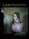 Labyrinth: An Erotic BDSM Novel - Lizbeth Dusseau