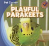 Playful Parakeets - Katie Kawa