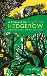 A Natural History of the Hedgerow: and ditches, dykes and dry stone walls - John Wright